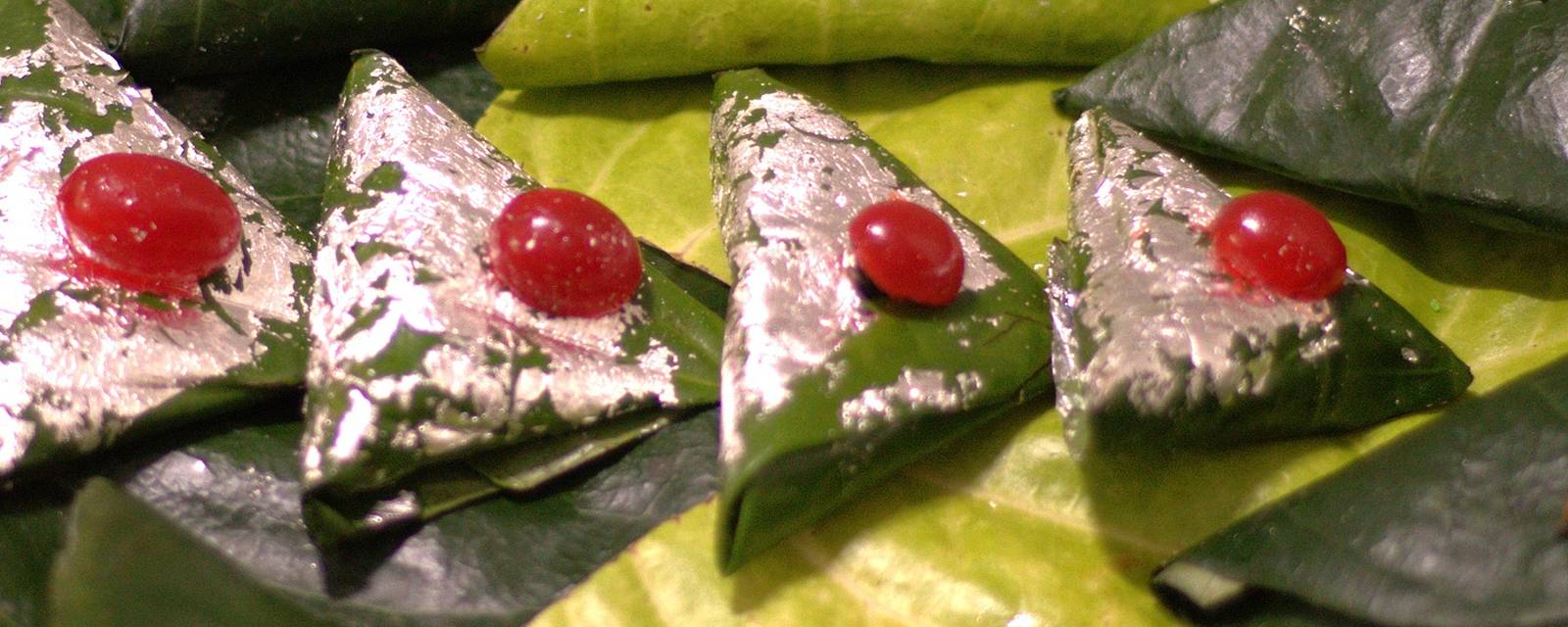 Vedic Paan cover
